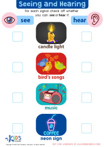 Seeing and Hearing Worksheet
